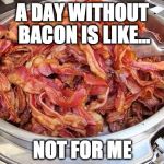 A day without bacon is a day wasted. | A DAY WITHOUT BACON IS LIKE... NOT FOR ME | image tagged in bacon,a day without | made w/ Imgflip meme maker