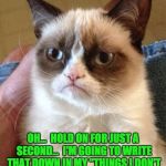 Grumpy Cat | OH…  HOLD ON FOR JUST A SECOND…  I'M GOING TO WRITE THAT DOWN IN MY "THINGS I DON'T GIVE A CRAP ABOUT" NOTEBOOK. | image tagged in grumpy cat | made w/ Imgflip meme maker