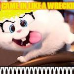 Secret Life of Pets - Snowball #2 | MILEY: I CAME IN LIKE A WRECKING BALL; ME:YYYYYYYYYYYYYYYYYYYYYYYYYYYY | image tagged in secret life of pets - snowball 2 | made w/ Imgflip meme maker