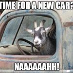 GoatDriving | TIME FOR A NEW CAR? NAAAAAAHH! | image tagged in goatdriving | made w/ Imgflip meme maker