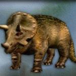 Triceratops 