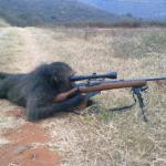 Monkey Sniper