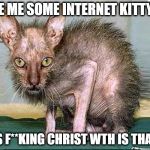ugly cat | I LOVE ME SOME INTERNET KITTY CA... JESUS F**KING CHRIST WTH IS THAT??? | image tagged in ugly cat | made w/ Imgflip meme maker