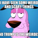 #WhyLie | I HAVE SEEN SOME WEIRD AND SCARY THINGS; AND TRUMP IS THE WEIRDEST | image tagged in courage the cowardly dog,donald trump,funny memes,memes,funny | made w/ Imgflip meme maker