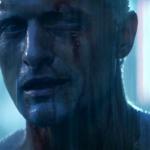 Blade Runner Tears in rain meme