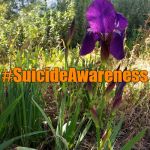 PSA: Someone's always listening.   
#SuicideAwareness.   1-800-273-8255 | Someone's always listening. #SuicideAwareness; 1-800-273-8255 | image tagged in igo iris,psa,someone's always listening,suicide awareness | made w/ Imgflip meme maker