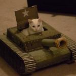 Cat driving a tank meme