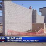 The Great Wall of Trump