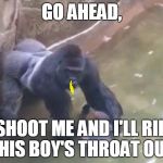 capturepngharambe | GO AHEAD, SHOOT ME AND I'LL RIP THIS BOY'S THROAT OUT. | image tagged in capturepngharambe | made w/ Imgflip meme maker