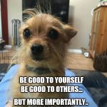 Lizzy: The Motivational Yorkie | LIZZY: THE MOTIVATIONAL YORKIE; BE GOOD TO YOURSELF; BE GOOD TO OTHERS... BUT MORE IMPORTANTLY.. BE GOOD TO ME CAUSE I'M KINDA CUTE. | image tagged in dogs,dog memes,motivational | made w/ Imgflip meme maker