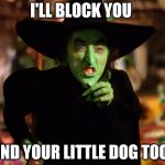 wicked witch  | I'LL BLOCK YOU; AND YOUR LITTLE DOG TOO! | image tagged in wicked witch | made w/ Imgflip meme maker