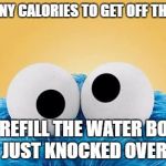 Cookie Monster  | HOW MANY CALORIES TO GET OFF THE COUCH; AND REFILL THE WATER BOTTLE I JUST KNOCKED OVER? | image tagged in cookie monster | made w/ Imgflip meme maker