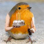 Birthday bird with arms