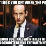 stephen miller | THAT LOOK YOU GET WHEN THE POLICE; CADAVER DOG TAKES AN INTEREST IN THE FRESH CONCRETE BEHIND THE WATER HEATER... | image tagged in stephen miller | made w/ Imgflip meme maker