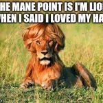 Funny Lion | THE MANE POINT IS I'M LION WHEN I SAID I LOVED MY HAIR | image tagged in funny lion | made w/ Imgflip meme maker