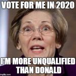 krisstopsychowarren | VOTE FOR ME IN 2020; I'M MORE UNQUALIFIED THAN DONALD | image tagged in krisstopsychowarren | made w/ Imgflip meme maker