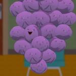 Member grapes