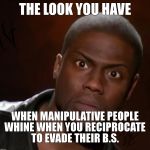 that look you give | THE LOOK YOU HAVE; WHEN MANIPULATIVE PEOPLE WHINE WHEN YOU RECIPROCATE TO EVADE THEIR B.S. | image tagged in that look you give | made w/ Imgflip meme maker