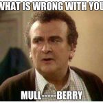 mulberry | WHAT IS WRONG WITH YOU; MULL-----BERRY | image tagged in mulberry | made w/ Imgflip meme maker