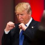 Donald trump fists
