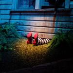 Wicked witch under Dorothy's house