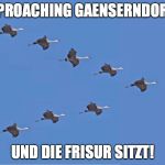 GEESE | APPROACHING GAENSERNDORF -; UND DIE FRISUR SITZT! | image tagged in geese | made w/ Imgflip meme maker
