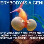 Stupid Fish | EVERYBODY IS A GENIUS; BUT IF YOU JUDGE A FISH BY ITS ABILITY TO CLIMB A TREE, IT WILL LIVE ITS WHOLE LIFE BELIEVING IT IS STUPID.    ALBERT EINSTEIN | image tagged in stupid fish | made w/ Imgflip meme maker