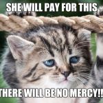 Cat Emotion | SHE WILL PAY FOR THIS; THERE WILL BE NO MERCY!!! | image tagged in cat emotion,memes | made w/ Imgflip meme maker