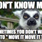 Lemur is not impressed | I DON'T KNOW MAN; SOMETIMES YOU DON'T WANT TO " MOVE IT MOVE IT " | image tagged in lemur is not impressed | made w/ Imgflip meme maker