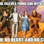 A Tale of Fantasy For the Whole Family! | A WONDERFUL TALE OF A YOUNG GIRL WITH 3 LIBERALS... NO BRAIN, NO HEART, AND NO COURAGE. | image tagged in wizard of oz | made w/ Imgflip meme maker