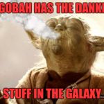 Star Wars meme... | DAGOBAH HAS THE DANKEST; STUFF IN THE GALAXY | image tagged in star wars meme | made w/ Imgflip meme maker