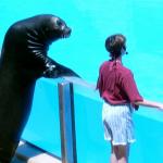 Seal gets the girl