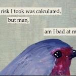 Calculated risk birb meme
