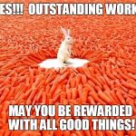 Rabbit | YES!!!  OUTSTANDING WORK!! MAY YOU BE REWARDED WITH ALL GOOD THINGS! | image tagged in rabbit | made w/ Imgflip meme maker