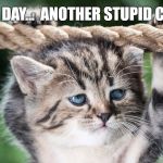 Cat Emotion | ANOTHER DAY...  ANOTHER STUPID CAT MEME. | image tagged in cat emotion | made w/ Imgflip meme maker