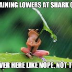 Frog with umbrella | IT'S RAINING LOWERS AT SHARK COAST; I'M OVER HERE LIKE NOPE, NOT TODAY | image tagged in frog with umbrella | made w/ Imgflip meme maker