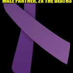 domestic violence | BETWEEN 2001-2012   6,488 WAR CASUALTIES  11,766 WOMEN MURDERED BY MALE PARTNER, 2X THE DEATHS; END DOMESTIC TERRORISM    IN THE USA   END DOMESTIC VIOLENCE NOW | image tagged in domestic violence | made w/ Imgflip meme maker