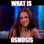 Roses are red This booty is phat  Cash me ousside Howboudah?  | WHAT IS; OSMOSIS | image tagged in roses are red this booty is phat  cash me ousside howboudah | made w/ Imgflip meme maker