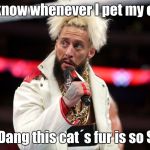 Enzo Amore | Y´know whenever I pet my cat, i say: Dang this cat´s fur is so SAWFT | image tagged in enzo amore | made w/ Imgflip meme maker