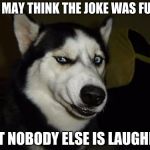 Funny Dog | YOU MAY THINK THE JOKE WAS FUNNY; BUT NOBODY ELSE IS LAUGHING | image tagged in funny dog | made w/ Imgflip meme maker
