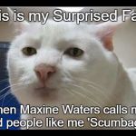 Surprised Face | This is my Surprised Face; when Maxine Waters calls me and people like me 'Scumbags'. | image tagged in surprised face,maxine waters | made w/ Imgflip meme maker