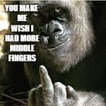 Ape Middle Finger | YOU MAKE ME WISH I HAD MORE MIDDLE FINGERS | image tagged in ape middle finger | made w/ Imgflip meme maker