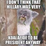 Weed Koala | I DON'T THINK THAT HILLARY WAS VERY; KOALAFIDE TO BE PRESIDENT ANYWAY | image tagged in weed koala | made w/ Imgflip meme maker