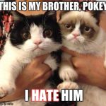 Grumpy and pokey | THIS IS MY BROTHER, POKEY; I             HIM; HATE | image tagged in grumpy and pokey | made w/ Imgflip meme maker