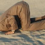 Cognitive dissonance  meme