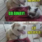 Grumpy Cat Vs Happy Dog | HEY GRUMPY, MISSISSIPPI IS A LONG WORD, HOW DO YOU SPELL IT? GO AWAY! I.T; GET IT? I.T; JUST KILL ME NOW | image tagged in grumpy cat and his dog,grumpy cat,jokes,funny dogs,memes,funny memes | made w/ Imgflip meme maker