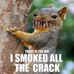 Psycho Squirrel | TODAY IS THE DAY; I SMOKED ALL THE 
CRACK | image tagged in psycho squirrel,memes,crack | made w/ Imgflip meme maker