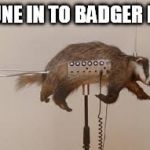 Badger Radio | TUNE IN TO BADGER FM | image tagged in badger,music,funny meme | made w/ Imgflip meme maker