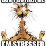 Me Stressed? â€¦ Naaaaaaaa | DON'T BOTHER ME; I'M STRESSED | image tagged in me stressed  naaaaaaaa | made w/ Imgflip meme maker