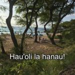 Lisa's Hawaii | Hau'oli la hanau! | image tagged in lisa's hawaii | made w/ Imgflip meme maker
